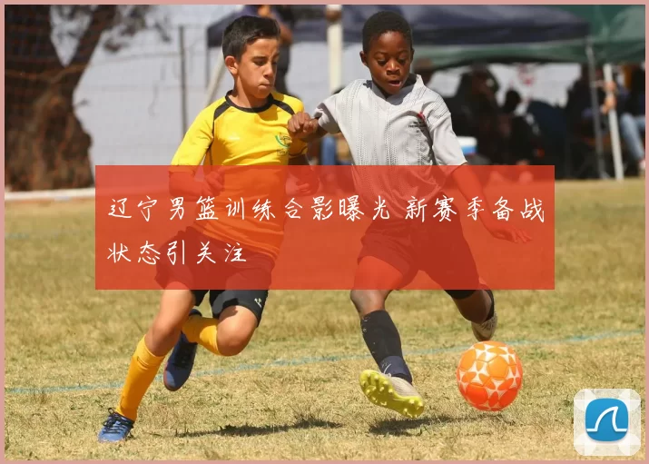 辽宁男篮训练合影曝光 新赛季备战状态引关注
