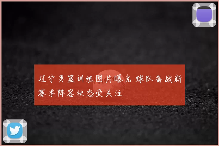 辽宁男篮训练图片曝光 球队备战新赛季阵容状态受关注
