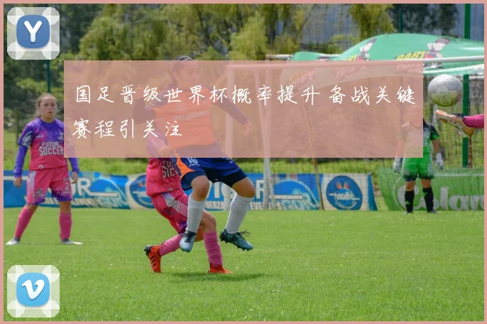 国足晋级世界杯概率提升 备战关键赛程引关注