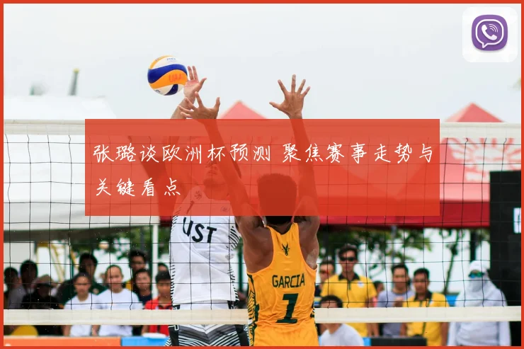 张璐谈欧洲杯预测 聚焦赛事走势与关键看点