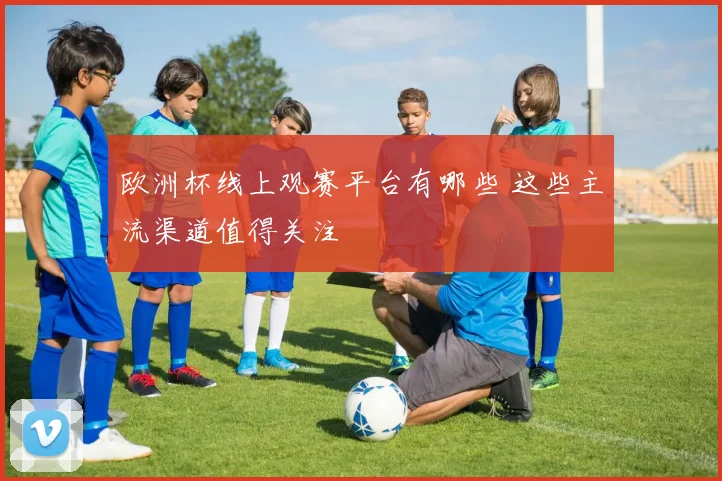 欧洲杯线上观赛平台有哪些 这些主流渠道值得关注